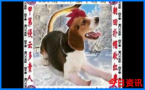 武汉一日游必去景点